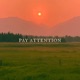 Pay Attention Single