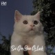 Sài Gòn Đâu Có Lạnh Remix Single