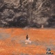 The Collapse