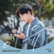 Lovestruck in the City Original Television Soundtrack Pt 6 Single