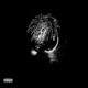 Too Rare Single