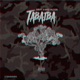 Tabaiba Single
