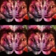 DMT feat Screamer Steve Ruffio Rizzo Vegas Single