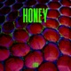 Honey Single