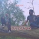 Extraños Single