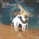 Pluma Del Desierto Single