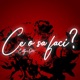 Ce o sa faci feat Oze Single