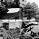 3 GAZA Single