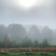 P O M gray skies Single