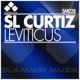 Leviticus Original Mix Single