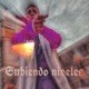 Subiendo Niveles Single