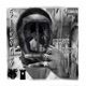 Silent feat CrooksYBR Single