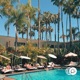 poolside rizz Single
