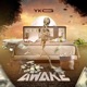 Awake Single