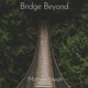 Bridge Beyond Single