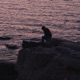 LA VITA NON RITORNA Single