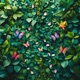 Butterflies feat Amvis Single