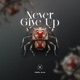 Never Give Up Single