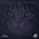 Questions EP