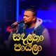 Sandalatha Payala Naada Version Single