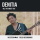 All the Sweet Tea Western AF Version Single