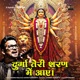 Durga Teri Sharan Mein Aaye Single