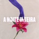 A Noite Inteira Single