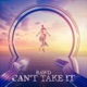 Can t Take it Single