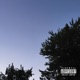 45 Minutes Single