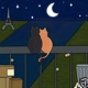 parís Single