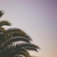 How Not to Die on a Desert Island EP