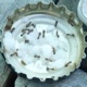 Borax Single