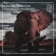 Koito Saint Evo Remix Single