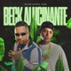 Beck Alucinante Single