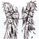 walking corpse Single
