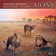Lions feat Arild Andersen Billy Hart