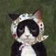 Black Cat Single