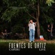 Fuentes de Ortiz Single