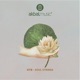 Soul Strings Single