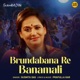 Brundabana Re Banamali Single