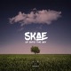 Up Into the Sky Single