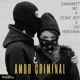 Amor Criminal feat Ceskyboy Jay Montana Single
