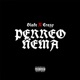Perreo Ñema feat Blake Muzik Single