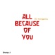 All Because of You feat Bump J Single