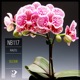Gleam EP