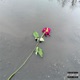 Square s Love Single