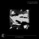 Stories Single