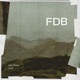 FDB feat Don Show SurfaceGrey Single