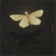 Fine China feat DJ Ant Minimize Damage 279tyler Single