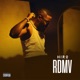 RDMV Single